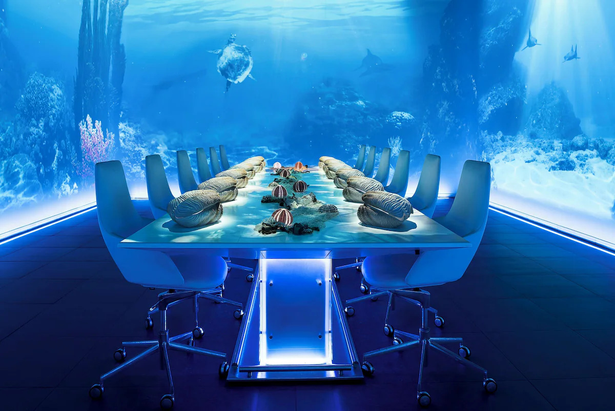 Ibiza Venue Image 10