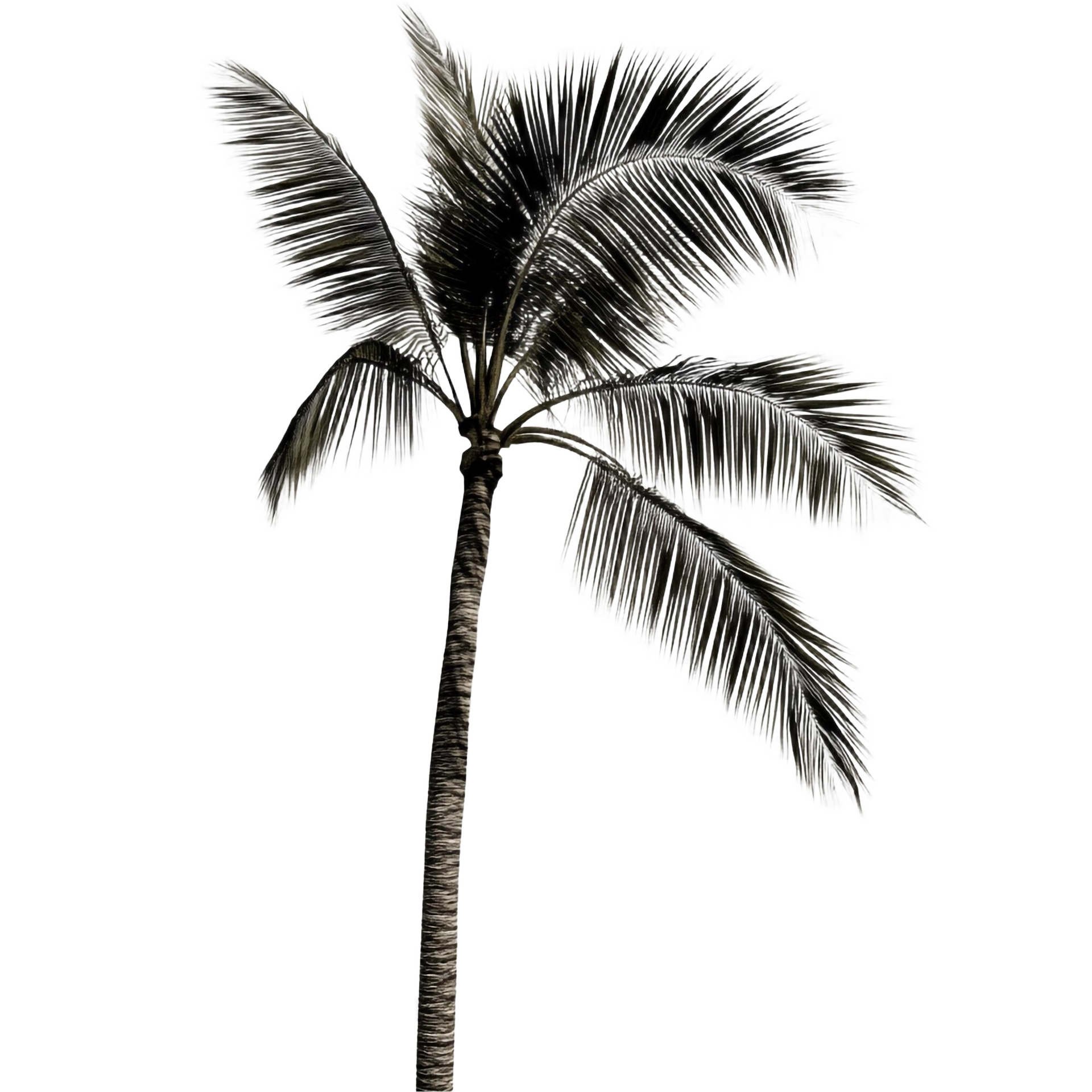 Ibiza Tree Element